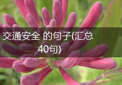 交通安全 的句子(汇总40句)