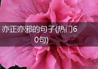 亦正亦邪的句子(热门60句)
