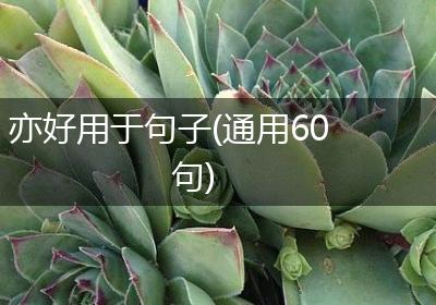 亦好用于句子(通用60句)