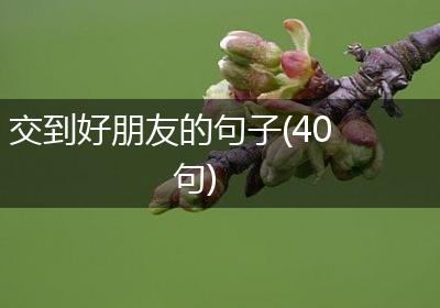 交到好朋友的句子(40句)