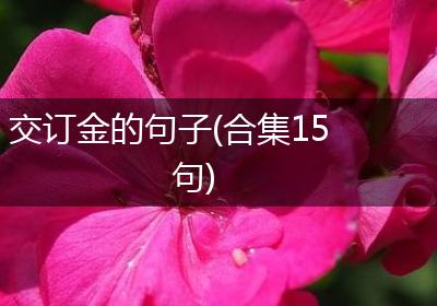 交订金的句子(合集15句)