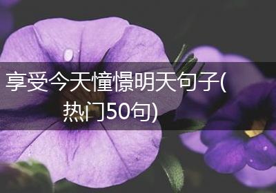享受今天憧憬明天句子(热门50句)