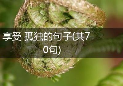 享受 孤独的句子(共70句)