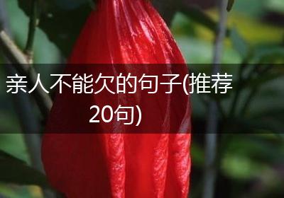 亲人不能欠的句子(推荐20句)