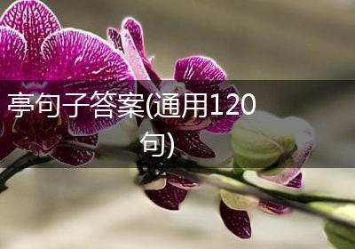 亭句子答案(通用120句)
