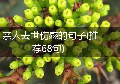 亲人去世伤感的句子(推荐68句)