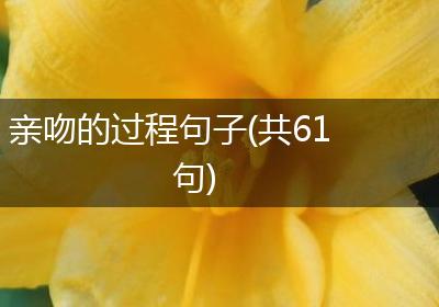 亲吻的过程句子(共61句)