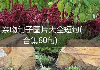 亲吻句子图片大全短句(合集60句)