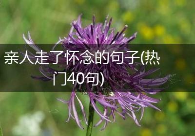 亲人走了怀念的句子(热门40句)