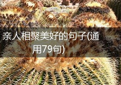 亲人相聚美好的句子(通用79句)