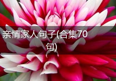 亲情家人句子(合集70句)