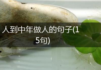 人到中年做人的句子(15句)