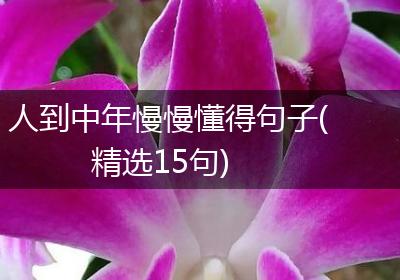 人到中年慢慢懂得句子(精选15句)