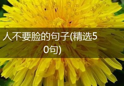 人不要脸的句子(精选50句)