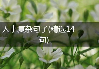 人事复杂句子(精选14句)