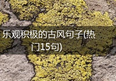 乐观积极的古风句子(热门15句)