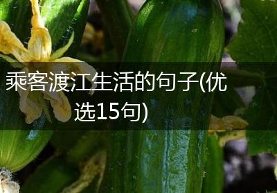 乘客渡江生活的句子(优选15句)