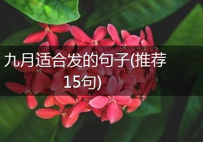 九月适合发的句子(推荐15句)