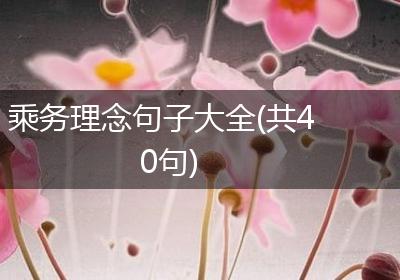 乘务理念句子大全(共40句)