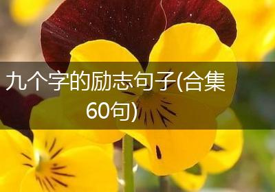 九个字的励志句子(合集60句)