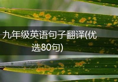 九年级英语句子翻译(优选80句)