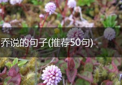 乔说的句子(推荐50句)