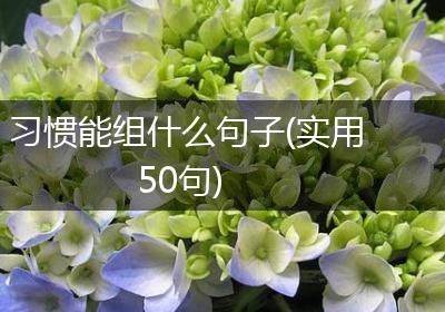 习惯能组什么句子(实用50句)