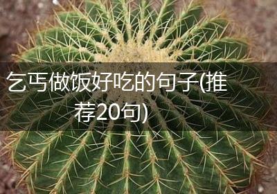 乞丐做饭好吃的句子(推荐20句)