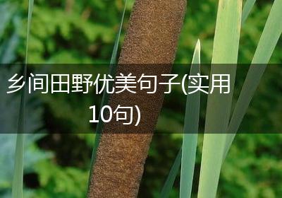 乡间田野优美句子(实用10句)
