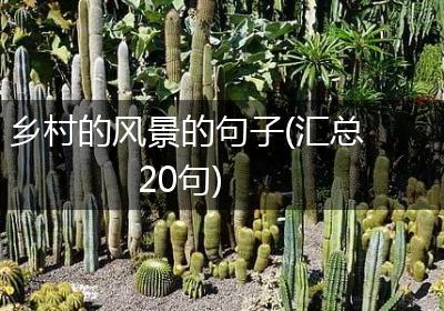 乡村的风景的句子(汇总20句)