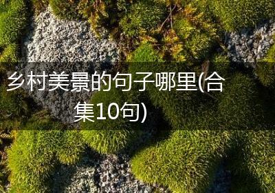 乡村美景的句子哪里(合集10句)