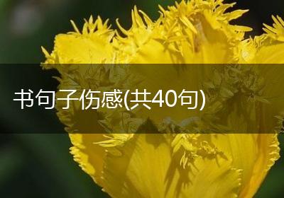 书句子伤感(共40句)