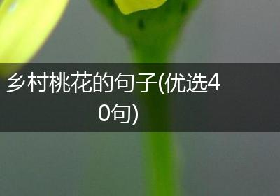 乡村桃花的句子(优选40句)