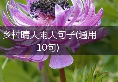 乡村晴天雨天句子(通用10句)