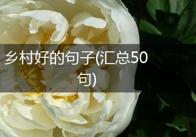 乡村好的句子(汇总50句)