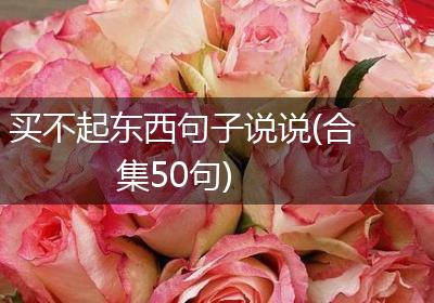 买不起东西句子说说(合集50句)