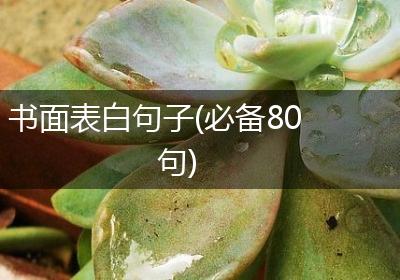 书面表白句子(必备80句)