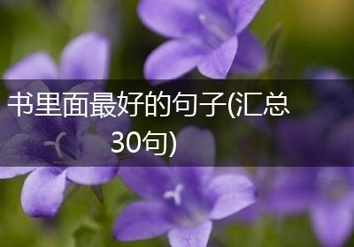 书里面最好的句子(汇总30句)