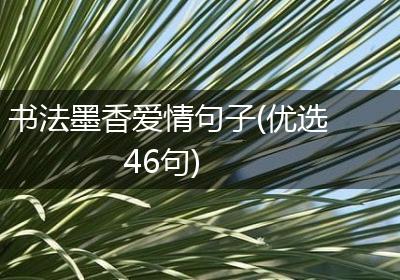 书法墨香爱情句子(优选46句)