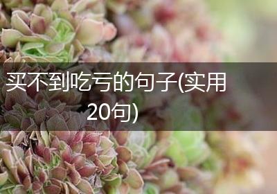 买不到吃亏的句子(实用20句)