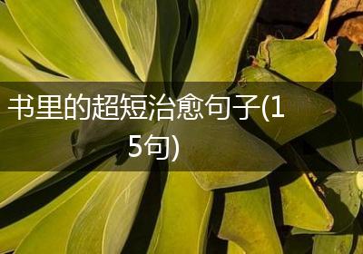 书里的超短治愈句子(15句)