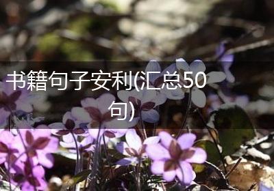 书籍句子安利(汇总50句)