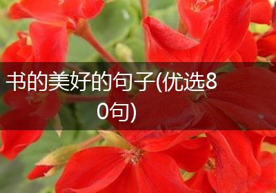 书的美好的句子(优选80句)