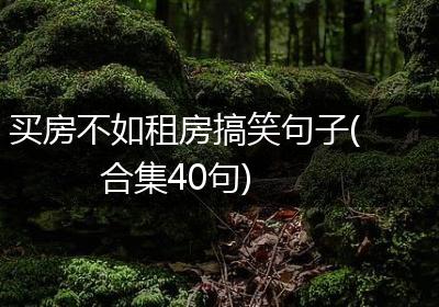 买房不如租房搞笑句子(合集40句)