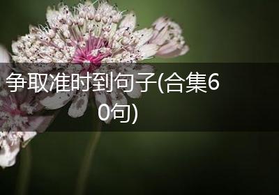 争取准时到句子(合集60句)