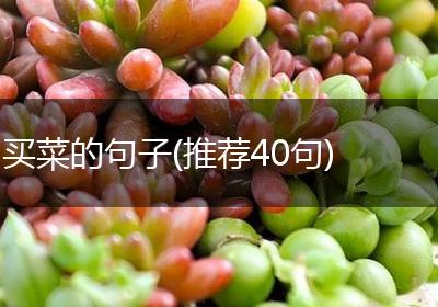 买菜的句子(推荐40句)