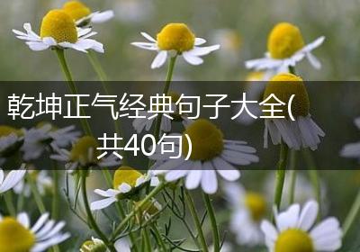 乾坤正气经典句子大全(共40句)