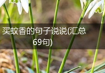 买蚊香的句子说说(汇总69句)