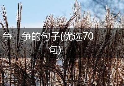 争一争的句子(优选70句)