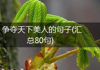 争夺天下美人的句子(汇总80句)